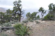 04052011_Grand Canyon Susan_257